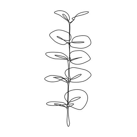 Eucalyptus branch with leaves. Black and white vector illustration.のイラスト素材