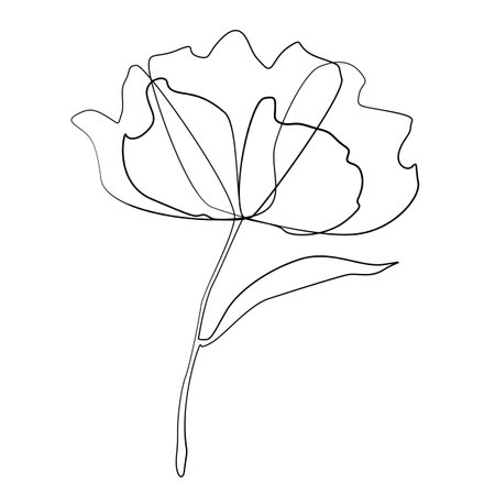 Continuous one simple single abstract line drawing of poppy flower icon in silhouette on a white background. Linear stylized.のイラスト素材