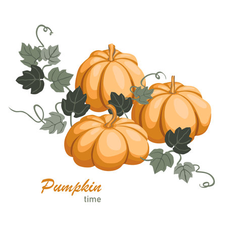 Pumpkin isolated on white background. Hand drawn vector illustration.のイラスト素材