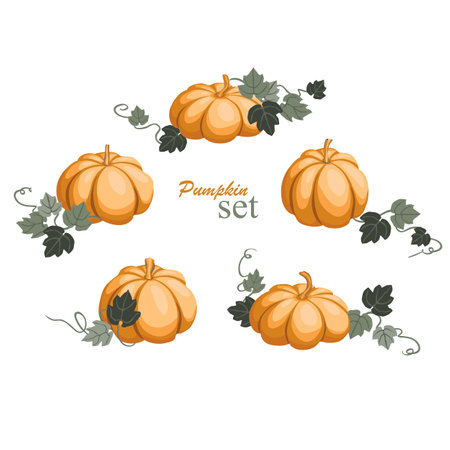 A set of pumpkins with leaves on a white background. Hand drawn vector illustration.のイラスト素材
