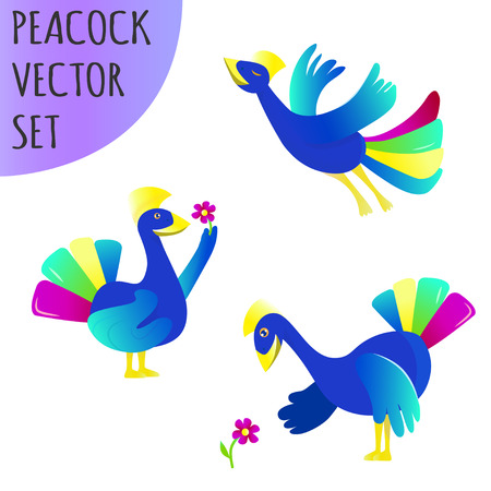 Peacock vector set. Three peacocks in different poses - flying, picking a flower, smelling a flower. Bright colored illustrations with gradients and texture.  logo of kindergarten, kid art studioのイラスト素材