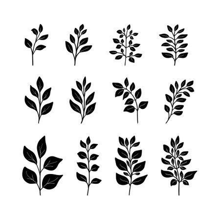 Set of black silhouettes of minimalistic branches, leaves for tattoo, wedding herb. Botanical rustic greenery. tree art design. isolated on white background.のイラスト素材