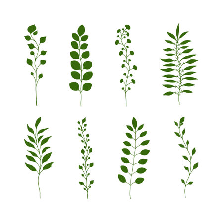 Set of hand drawn doodle silhouettes of minimalistic branches and stems with leaves, twig and grass. tree art design. isolated on white blackgroundのイラスト素材