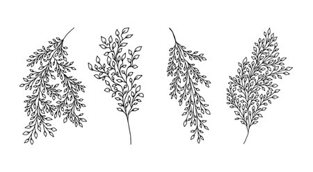 Set of Hand drawn Stem with Leaves, Twig and Grass in doodle style. tree art design. Isolated black on white elements for designのイラスト素材