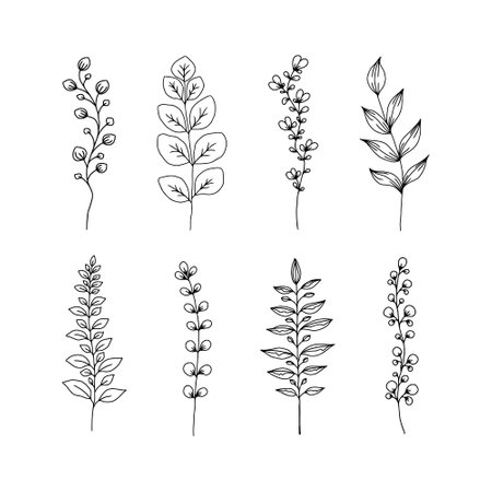 Set of Hand drawn Stem with Leaves, Twig and Grass in doodle style. tree art design. Isolated black on white elements for designのイラスト素材