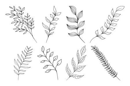 Set of hand drawn Stems with Leavesのイラスト素材