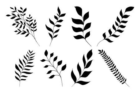 Set of hand drawn silhouettes of stems with leaves, herbs, grass and branches. tree art design. Isolated black on white elements for designのイラスト素材