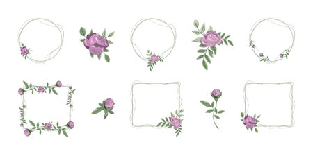 Set of cute purple rose flowers with stems with leaves for wedding templates, round and square frames with rose flowers, wedding floral and herbal elements. Isolated on white backgroundのイラスト素材