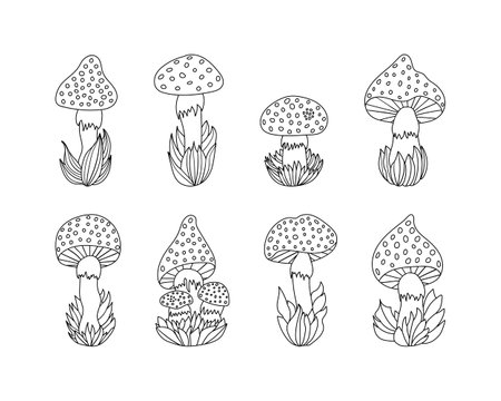 Set of various hand drawn mushrooms in grass, doodle cute fly agaric in cartoon style.Isolated on white background.のイラスト素材
