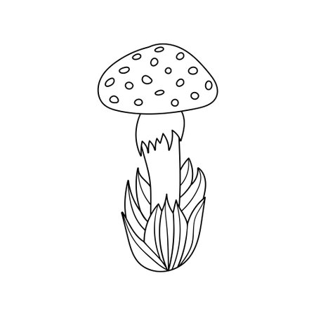 Hand drawn mushroom in grass, doodle cute fly agaric in cartoon style. Isolated on white background.のイラスト素材