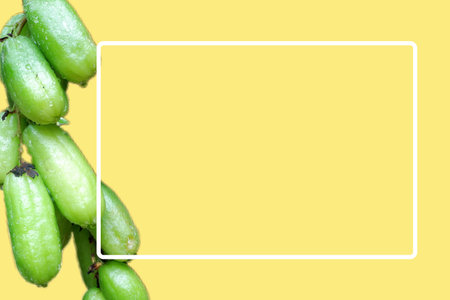 Isolated bilimbi star fruit with copy space area for your written description or for a mockup or template for presentation materialsの写真素材