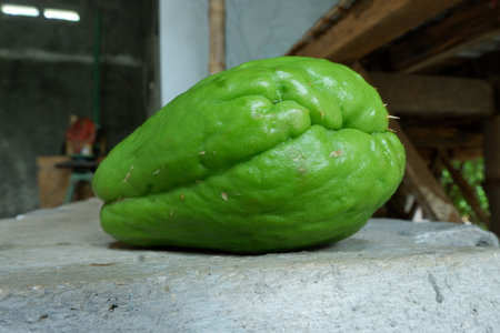 High-Quality Fresh Green Chayote Fruits and Vegetables with Detailed Texture â€“ Perfect for...