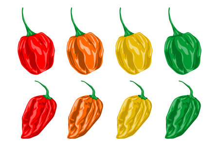 Colorful Red, Orange, Yellow, and Green Chili Peppers Collection. Flat Cartoon Style Vector Illustration, Editable and Scalable EPS, Isolated on White, Perfect for Print and Designのイラスト素材