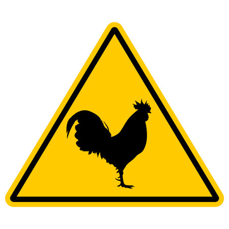 Yellow Triangle Warning Sign Sticker Template Featuring Simple Side View Rooster Icon in Black and Yellow, Isolated Vector Graphic Design, Editable EPS File for Safety Noticesのイラスト素材