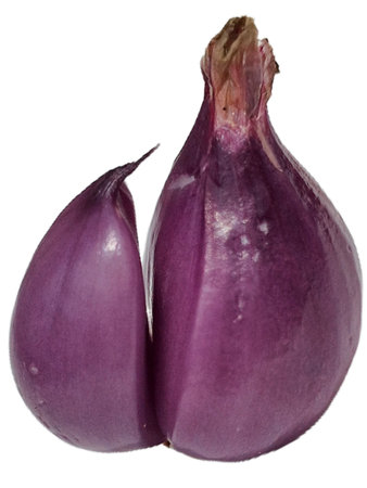 Whole Purple Shallot Clove Isolated on Clean White, Aromatic Red Onion for Asian Cuisine, Natural Spice Photography, Ingredient for Recipes and Food Designsの写真素材