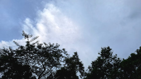 Nature view with green leaves surrounding cloudy blue sky, ideal for wellness design, mental health...