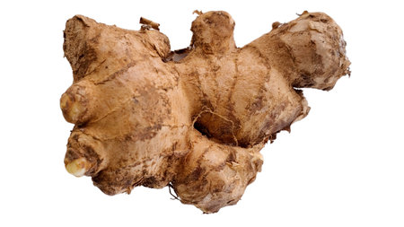 Fresh Ginger (Zingiber Officinale) Roots Isolated on White Background. A Healthy Spice and Superfood Ingredient for Culinary, Herbal Medicine, and Detox Useの写真素材