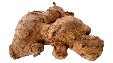 Clean Organic Ginger Knobs (Zingiber Officinale) Isolated on Bright White Background. Versatile Natural Ingredient for Food, Health, and Lifestyle Designsの写真素材