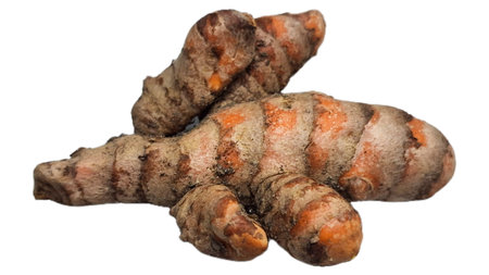 Curcuma Longa Raw Turmeric Root Fresh Rhizome Isolated on White Background Botanical Culinary...