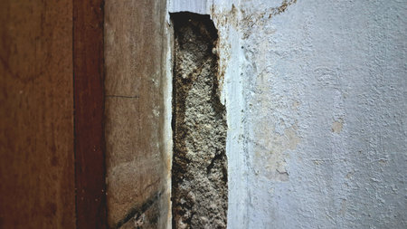 Weathered grunge concrete wall with distressed cement texture, rough aged stone surface for design elementsの写真素材