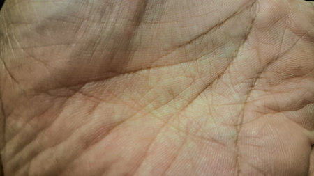 Human Palm Skin Macro Showing Natural Creases and Fingerprint Pattern Used in Dermatology and Health Scienceの写真素材