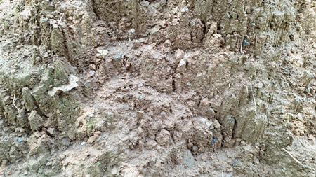 Brown clay soil surface detail high quality macro texture photo for agriculture geology farming gardening environment and natural earth backgroundの写真素材