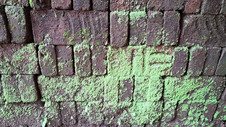 Old brickwork covered in green moss shows a textured surface and pattern, ideal as a mossy background for natural or time-worn conceptsの写真素材