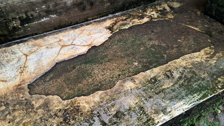 Detailed shot of cracked mossy concrete featuring a reflective water puddle for urban decay and textured background designs.の写真素材