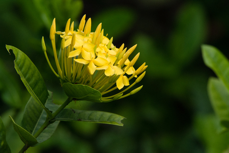 Nature Backgroundの写真素材