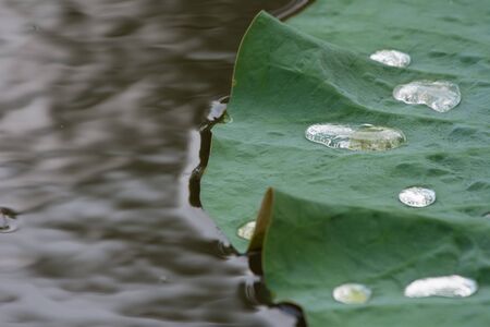 Nature Backgroundの写真素材