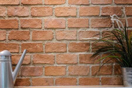 Brick wall , Grean leaf , watering potの写真素材