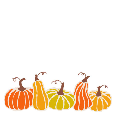 A bright display of colorful pumpkins on a white background perfect for autumn decorationのイラスト素材