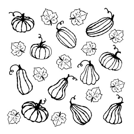 A collection of hand-drawn pumpkins and gourds intertwined with leaves, showcasing seasonal harvest aesthetic in black and whiteのイラスト素材