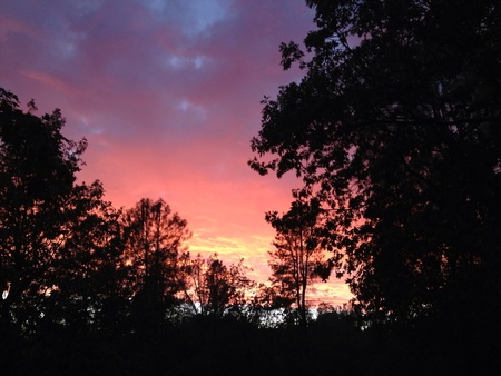 Sunset Shasta Lake Cityの素材
