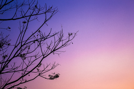 thailandの写真素材