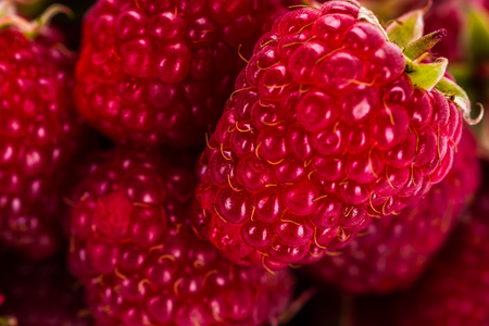 Ripe raspberry with leafの写真素材
