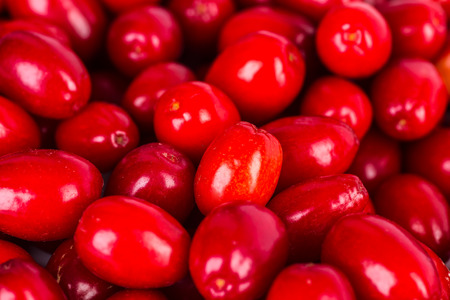 Red fresh berries on white background.の写真素材