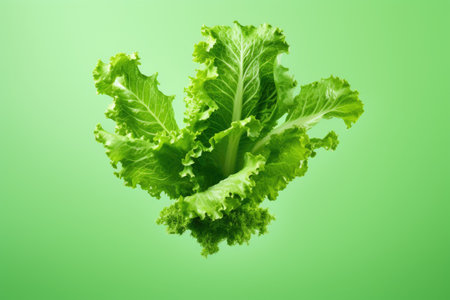 Set with falling fresh leaves of savoy cabbage on white backgroundの素材