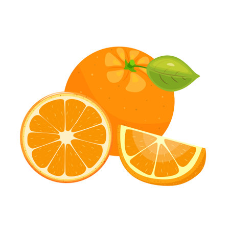 Orange. Set with whole, slice and wedge of orange on white background. Tropical fruit season. Realistic vector illustrationのイラスト素材