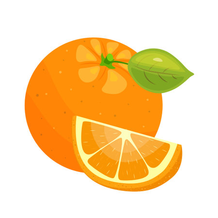 Orange icon set. Bright whole fruits, halves, slices with leaves. Elements for spring and summer design. Hand drawnのイラスト素材