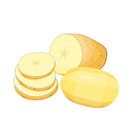 set of whole peeled potatoes, sliced, wedges, isolated on white background.のイラスト素材