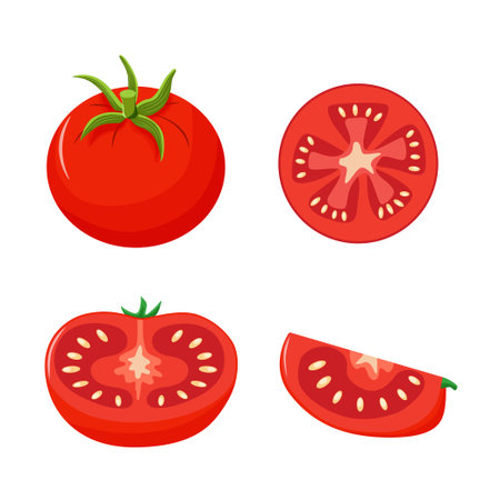colorful set of tomatoes. Whole tomatoes, halves, slices, hand drawn.のイラスト素材