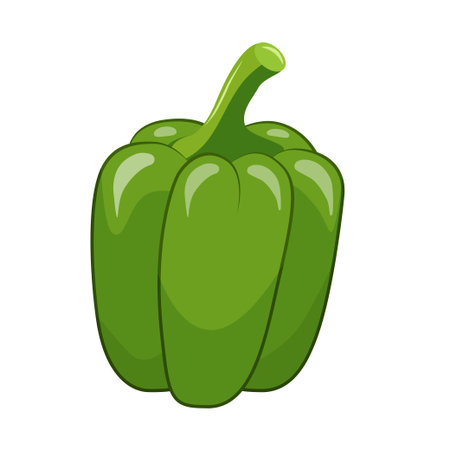 Stylized green paprika with outline. Template for design of stickers, clothes and souvenirs. Isolated on white background. Hand drawnのイラスト素材