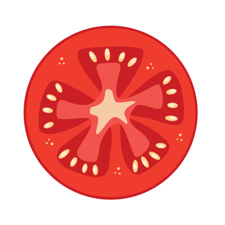 Round slice of red tomato drawn on white background. Flat tomato iconのイラスト素材