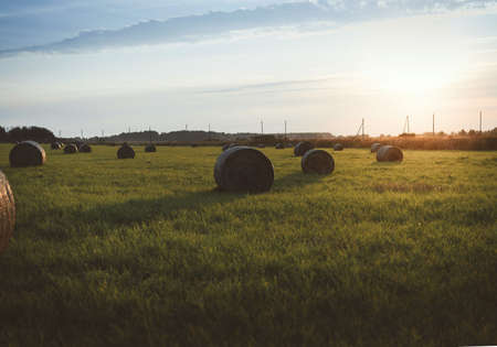 sunset in a field among haystacksの写真素材