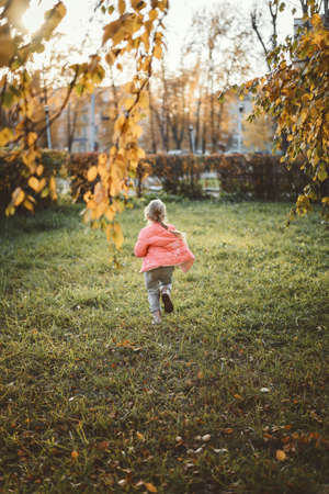 A child plays with leaves in autumnの写真素材