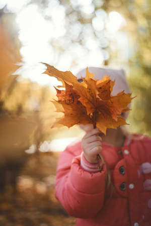 A child plays with leaves in autumnの写真素材