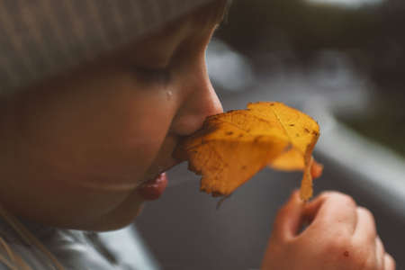 happy baby golden autumn playing with leavesの写真素材