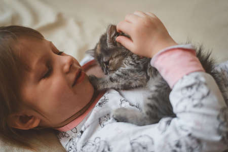 a child at home plays fun in a kitten in the fallの写真素材