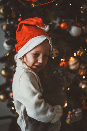 a small child plays with a Christmas tree and a Christmas tree toy in the new year at home with his familyの写真素材